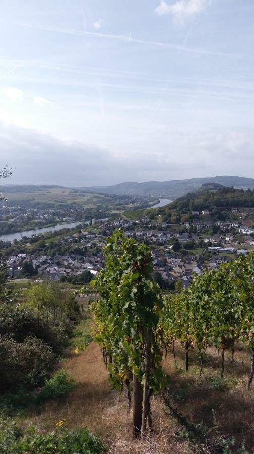 Kalverkamp Ferienwohnung Lieser Exteriör bild